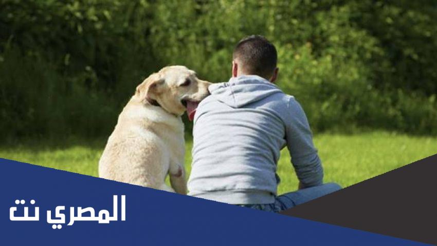 هل الكلب نجس ويبطل الوضوء