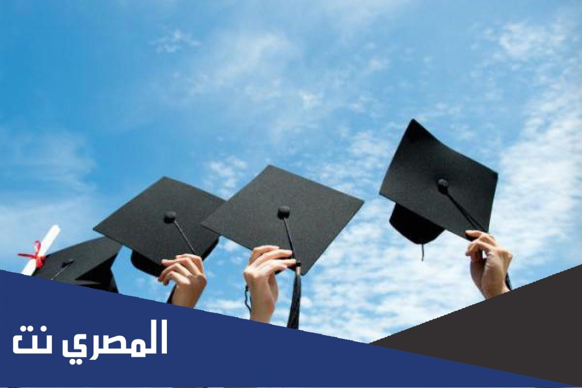 أنواع الدبلومات بعد البكالوريوس في الجامعات