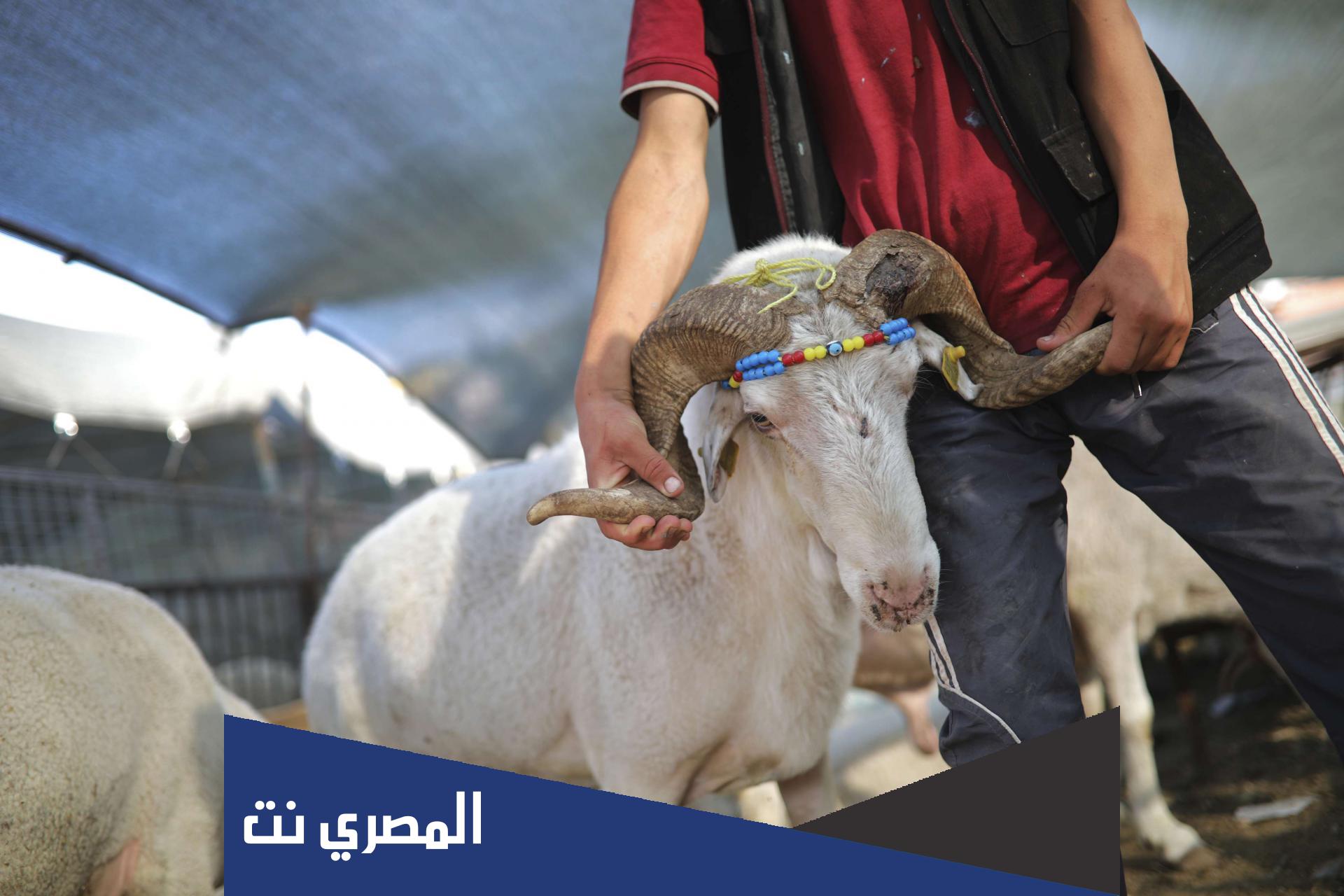 إذا دخلت العشر وأراد أحدكم أن يضحي صحة الحديث