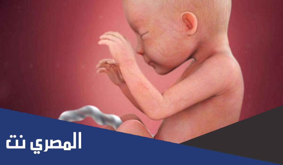 إذا فتح الرحم 5 سم متى تكون الولادة