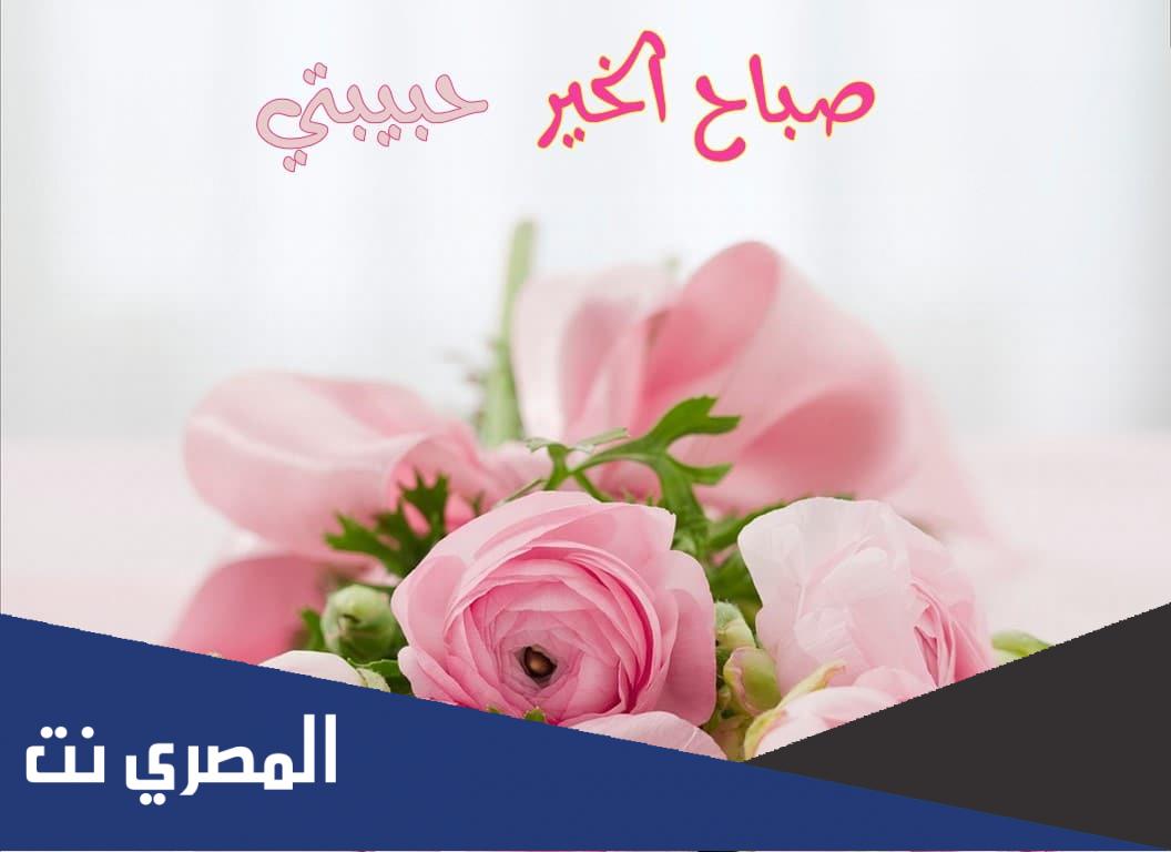اذا احد قال قونايدن وش ارد .. الرد على قونايدن Gunaydin
