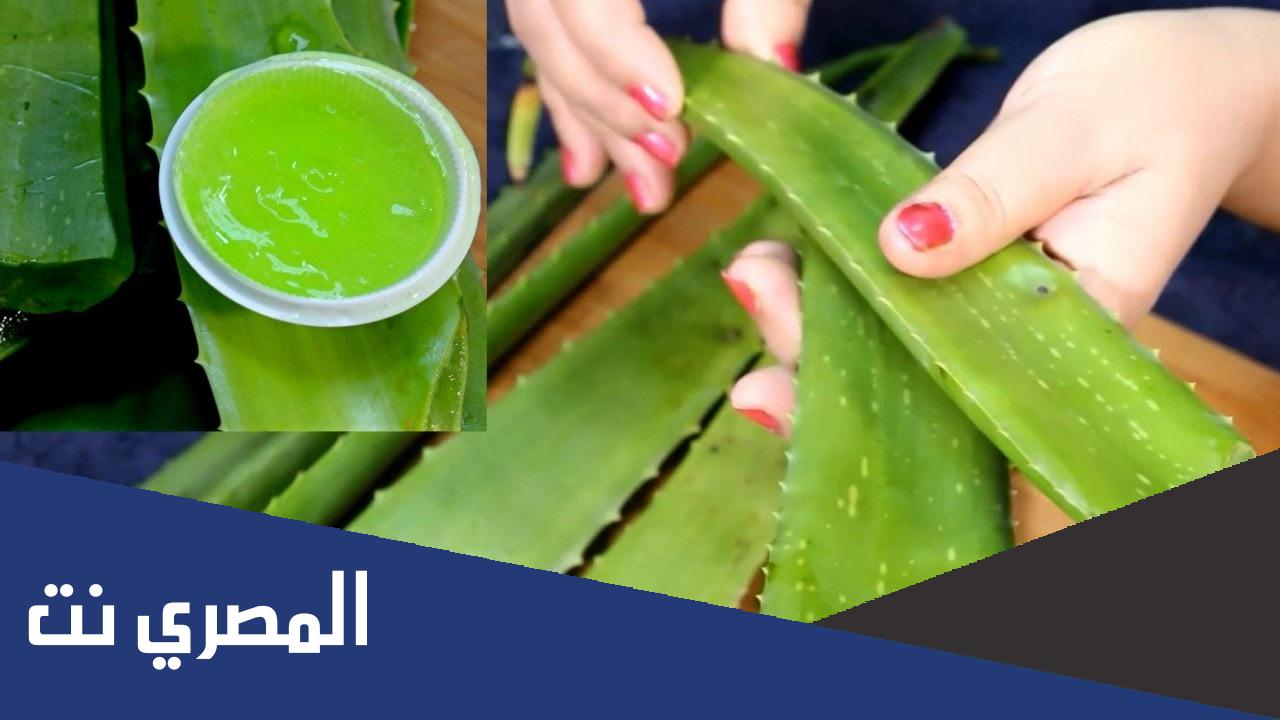 اسم نبات بحرف ص الصاد في القرآن