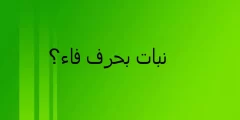 اسم نبات بحرف ف الفاء