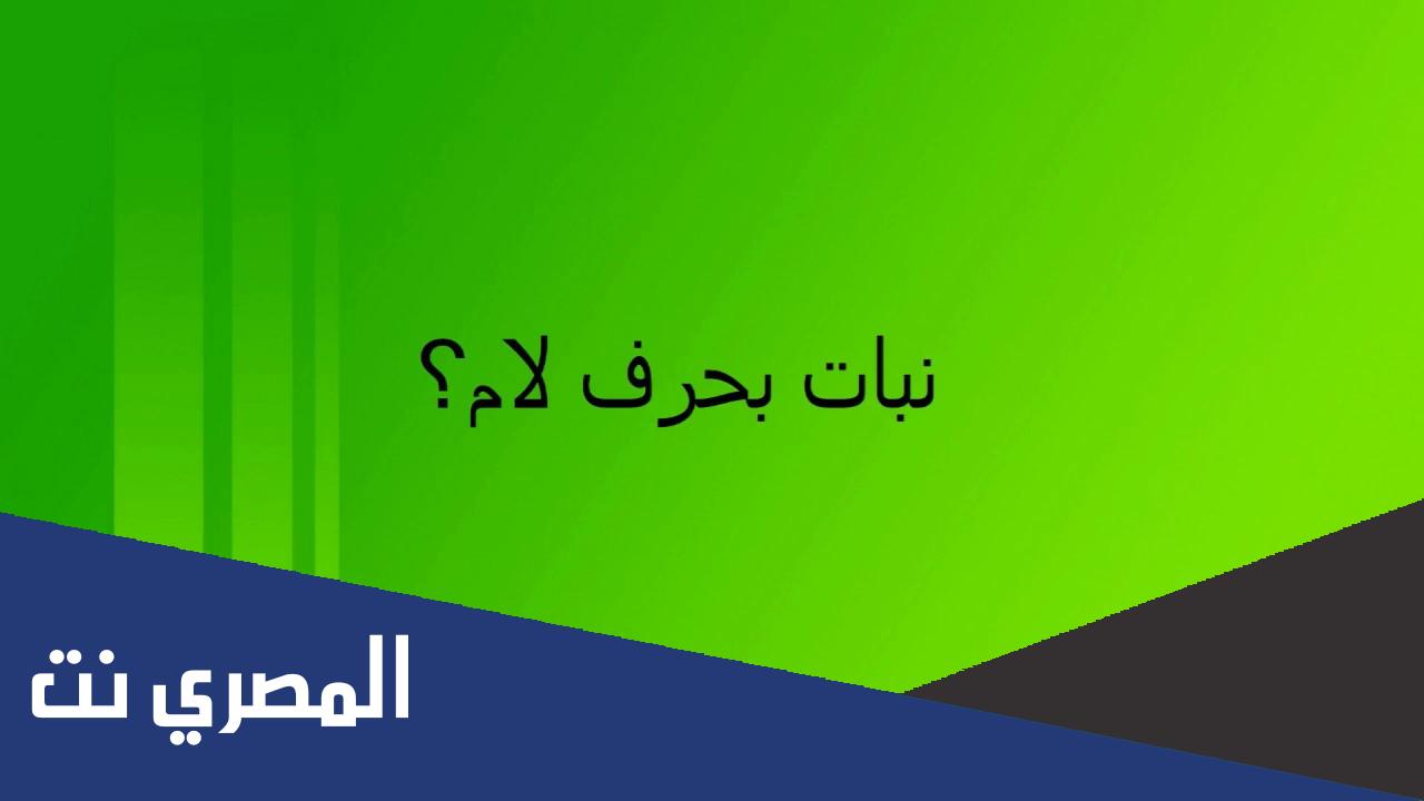 اسم نبات بحرف ل اللام