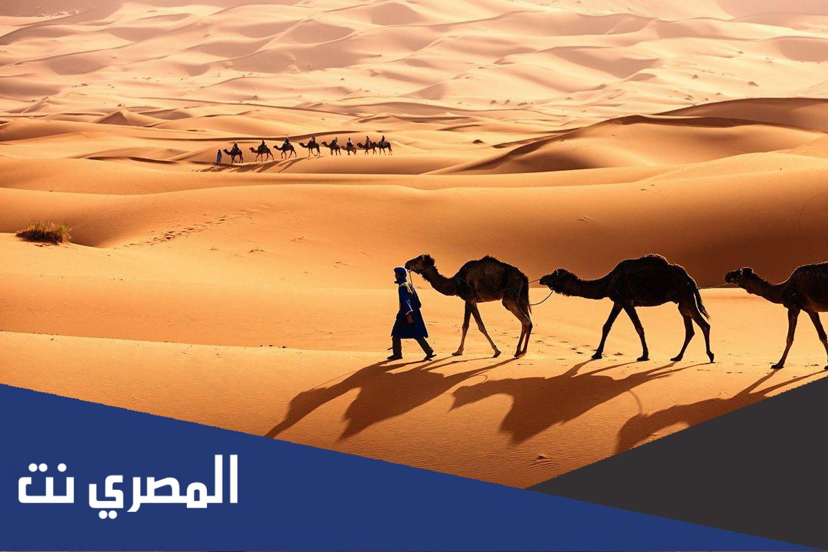 اصل عائلة الزايدي من وين ، الزايدي وش يرجع