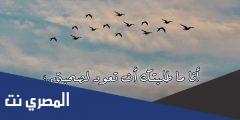 انا ما طلبتك ان تعود لصحبتي كلمات مكتوبة