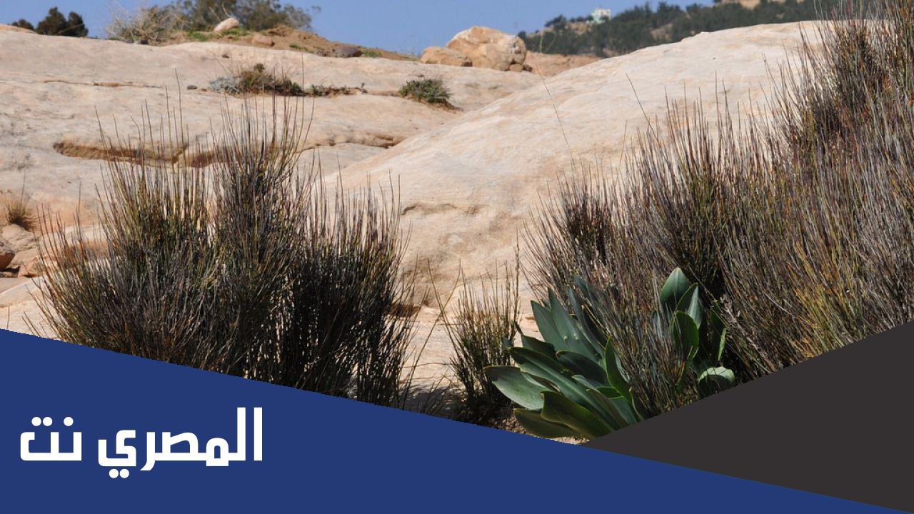 اين تقع محمية ضانا الطبيعية