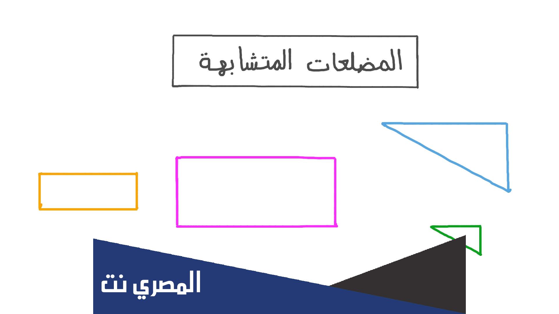 بحث عن المضلعات المتشابهة أول ثانوي