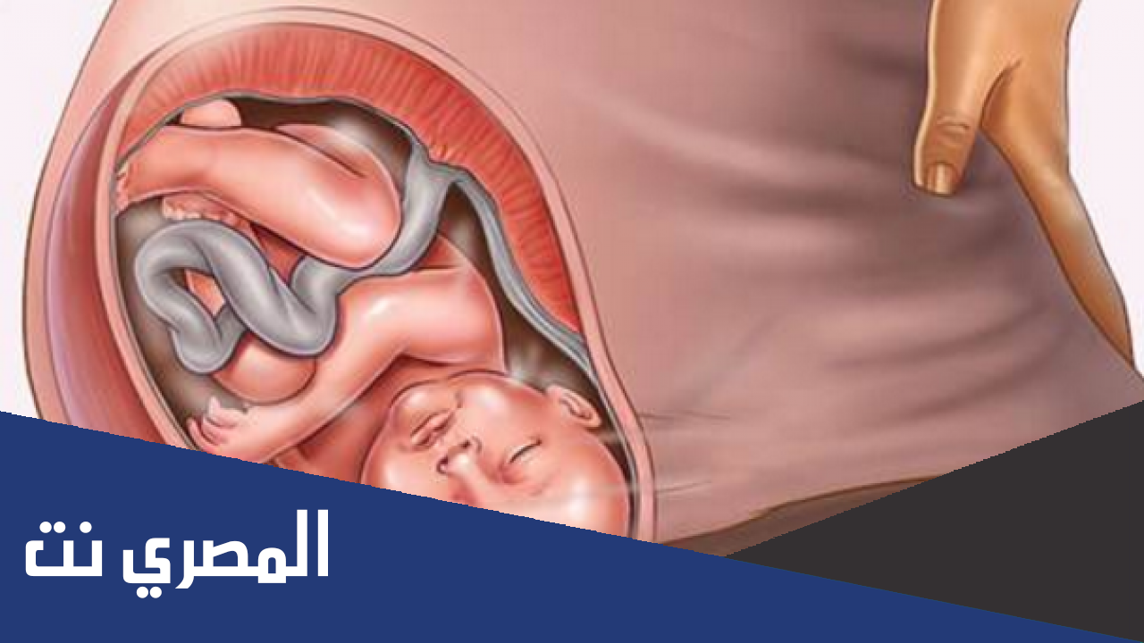 تجربتي مع الحقن المجهري بالتفصيل فتكات