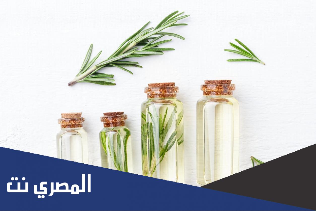 تجربتي مع منقوع اكليل الجبل للشعر