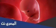 الاسبوع الثالث عشر من الحمل كم شهر ؟