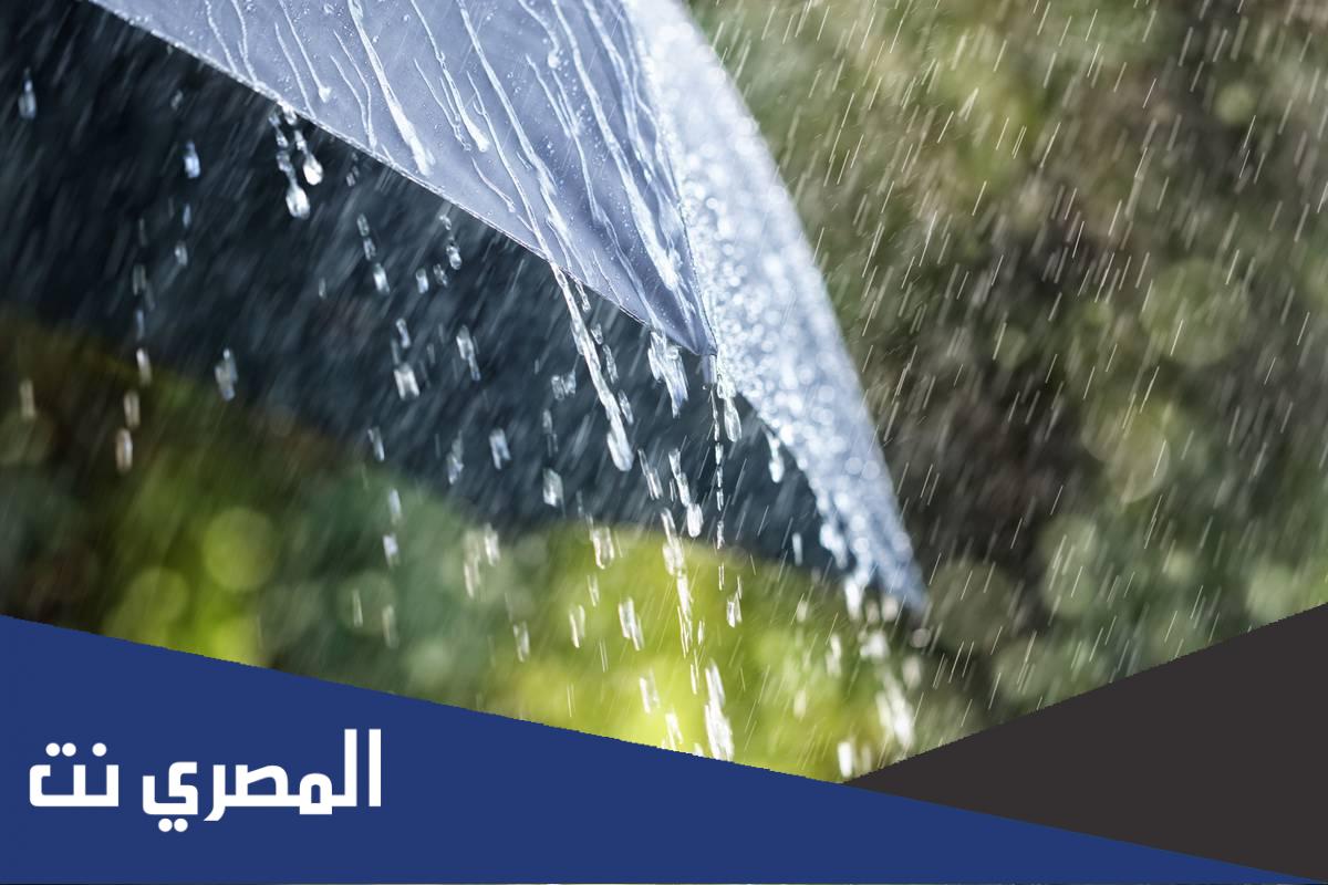 حلم المطر الغزير