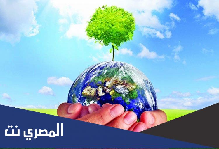 بحث عن دور القدوة في التعامل مع البيئة pdf