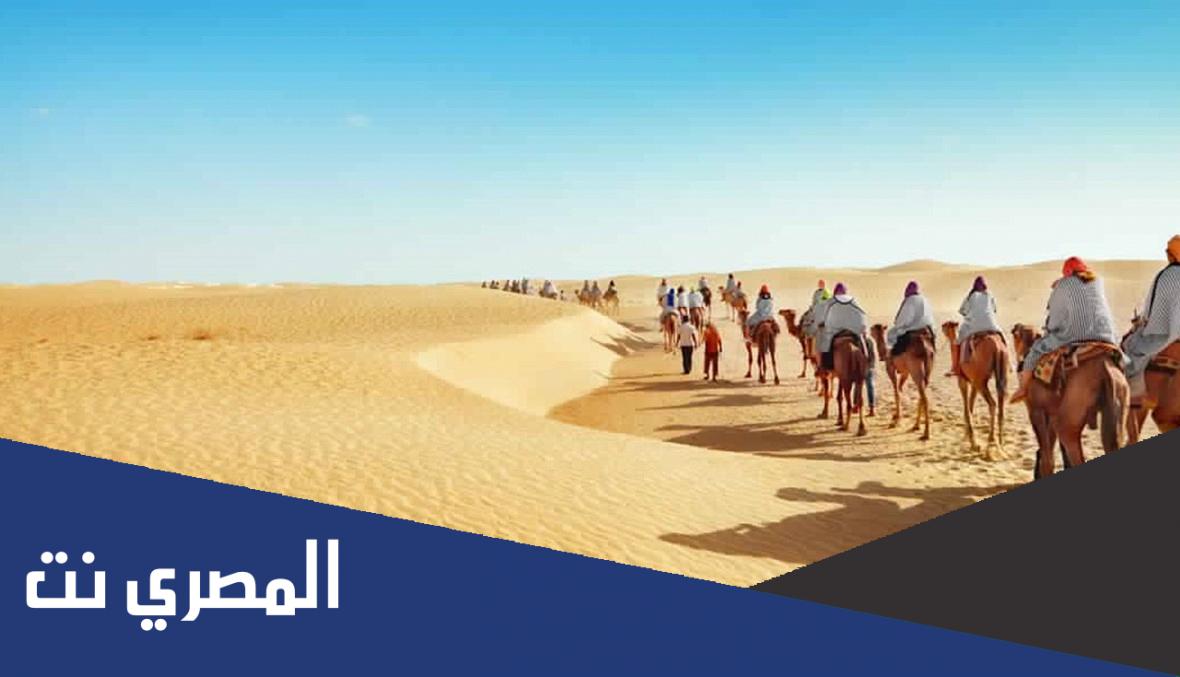 سعيد علي حسين العمري من وين