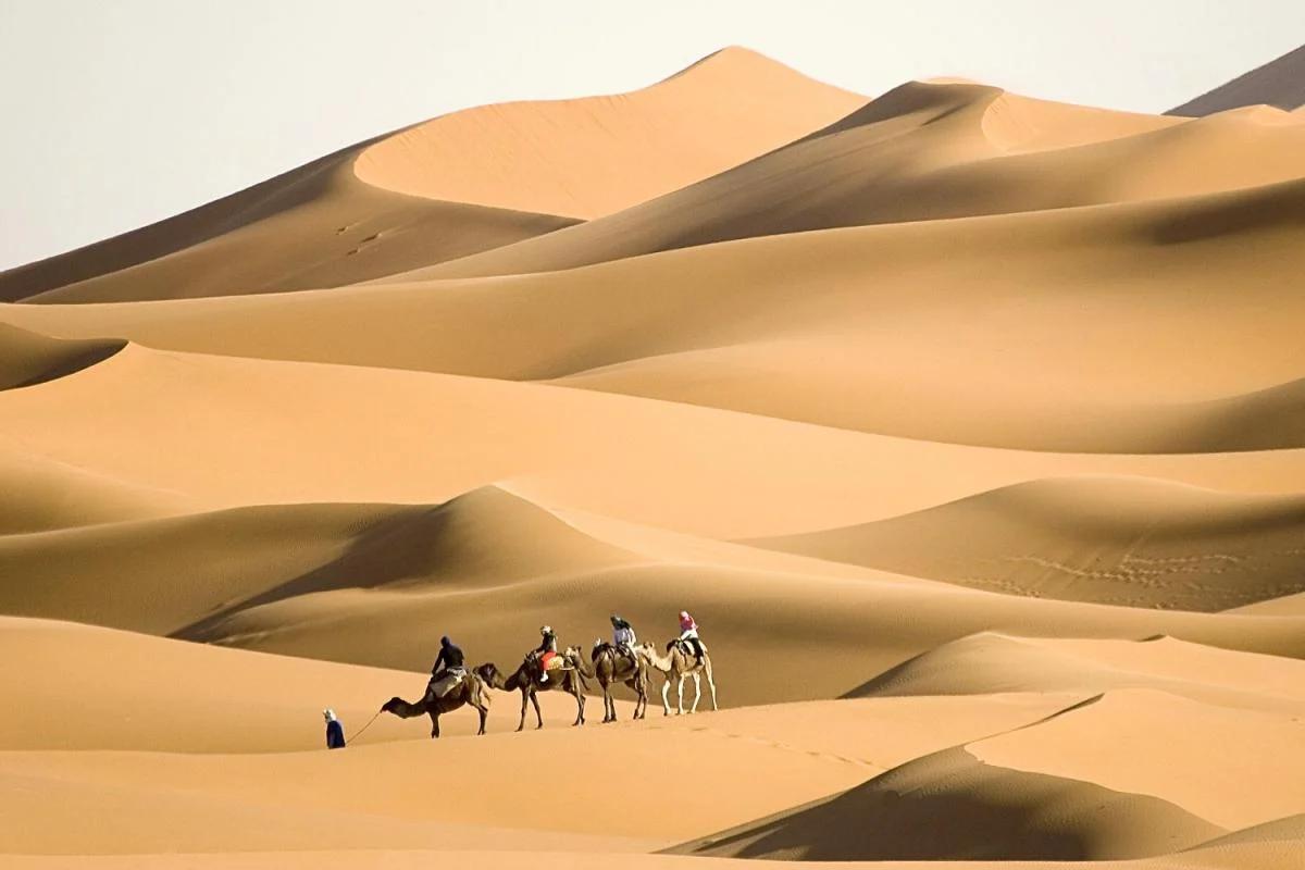 شجرة قبيلة قحطان الرئيسية مع فخوذها