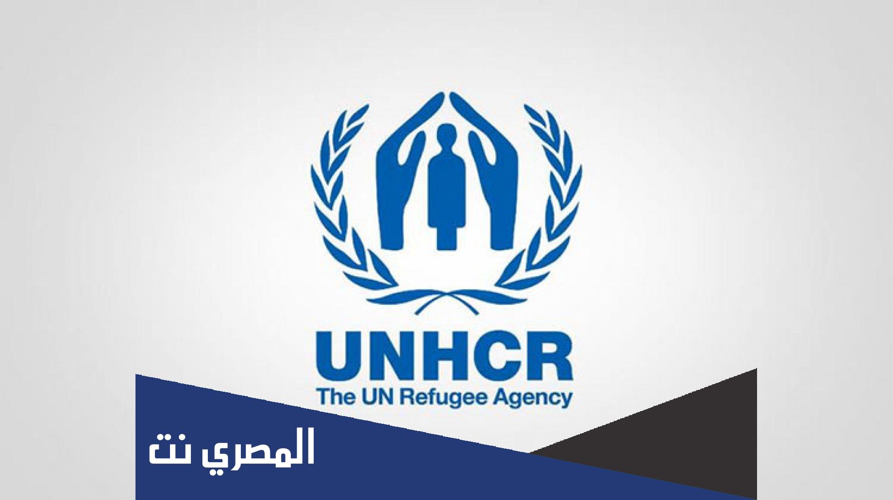 طريقة معرفة حالة الملف un في مصر 2022