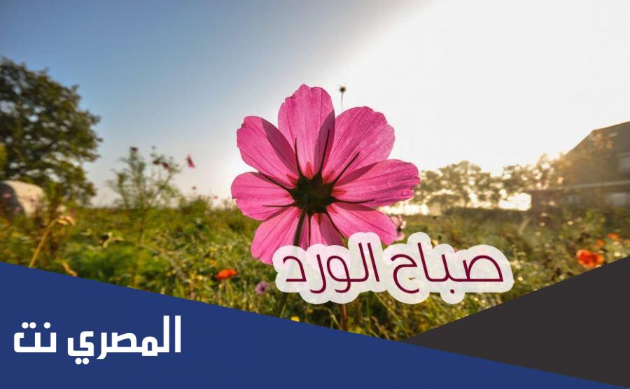 كلمات صباح الخير للاصدقاء 2022 تويتر