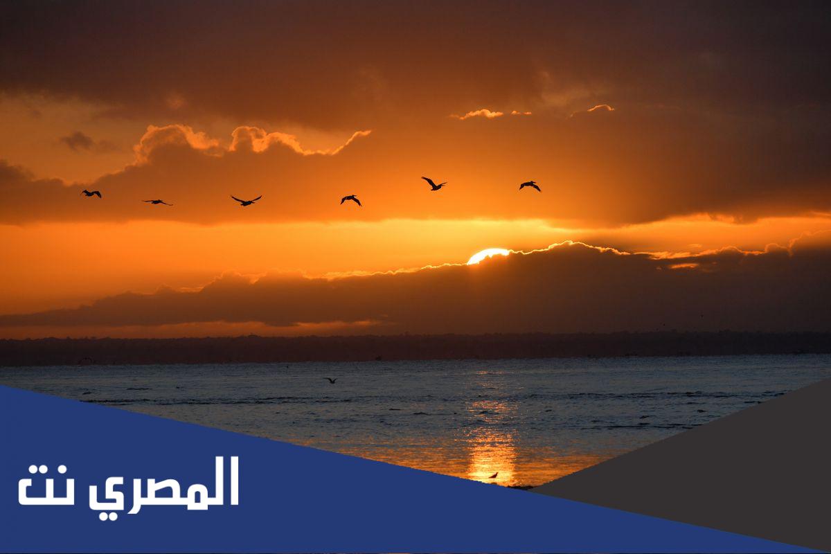 عبارات عن المساء تويتر 2022 قصيره
