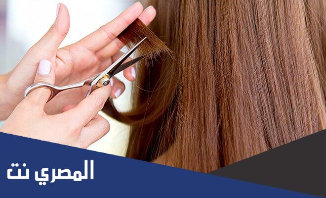 علاج تقصف الشعر الشديد تجربتي