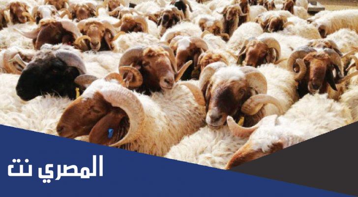 عيد الاضحى هل هو فرض ام سنة