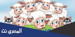 قصة الذئب والخراف السبعة مكتوبة قصيرة بالعربية