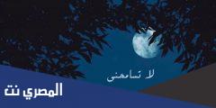 كلمات اغنية البقاء لله في باقي حياتي