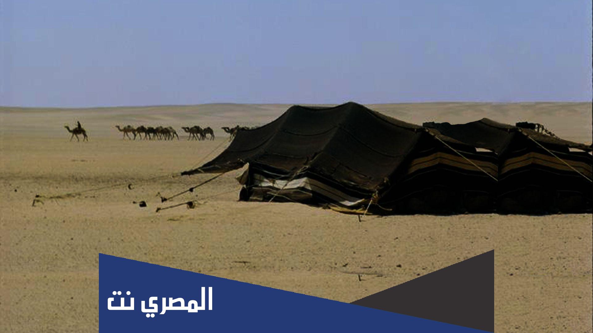 كلمات بدويه بالحضري مع المعنى