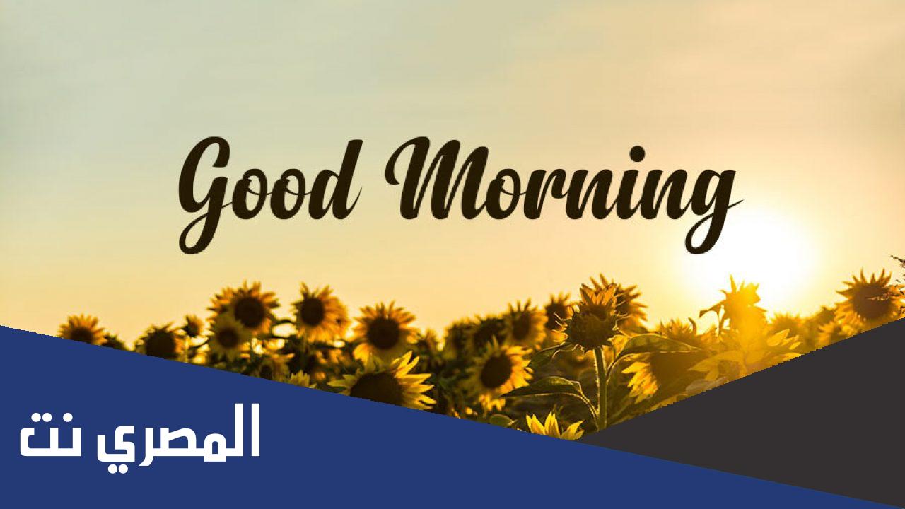 كلمة صباح الخير بالانجليزي