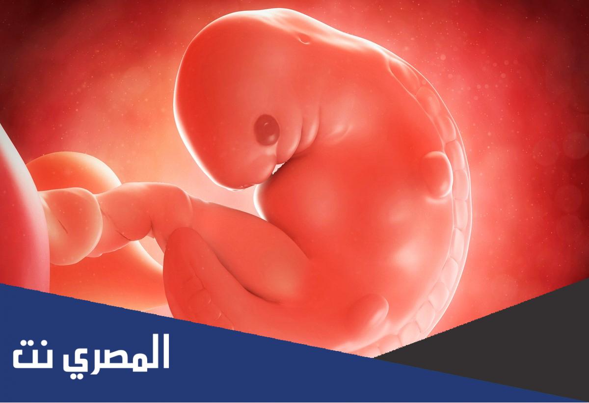 كم تكلفة الحقن المجهري