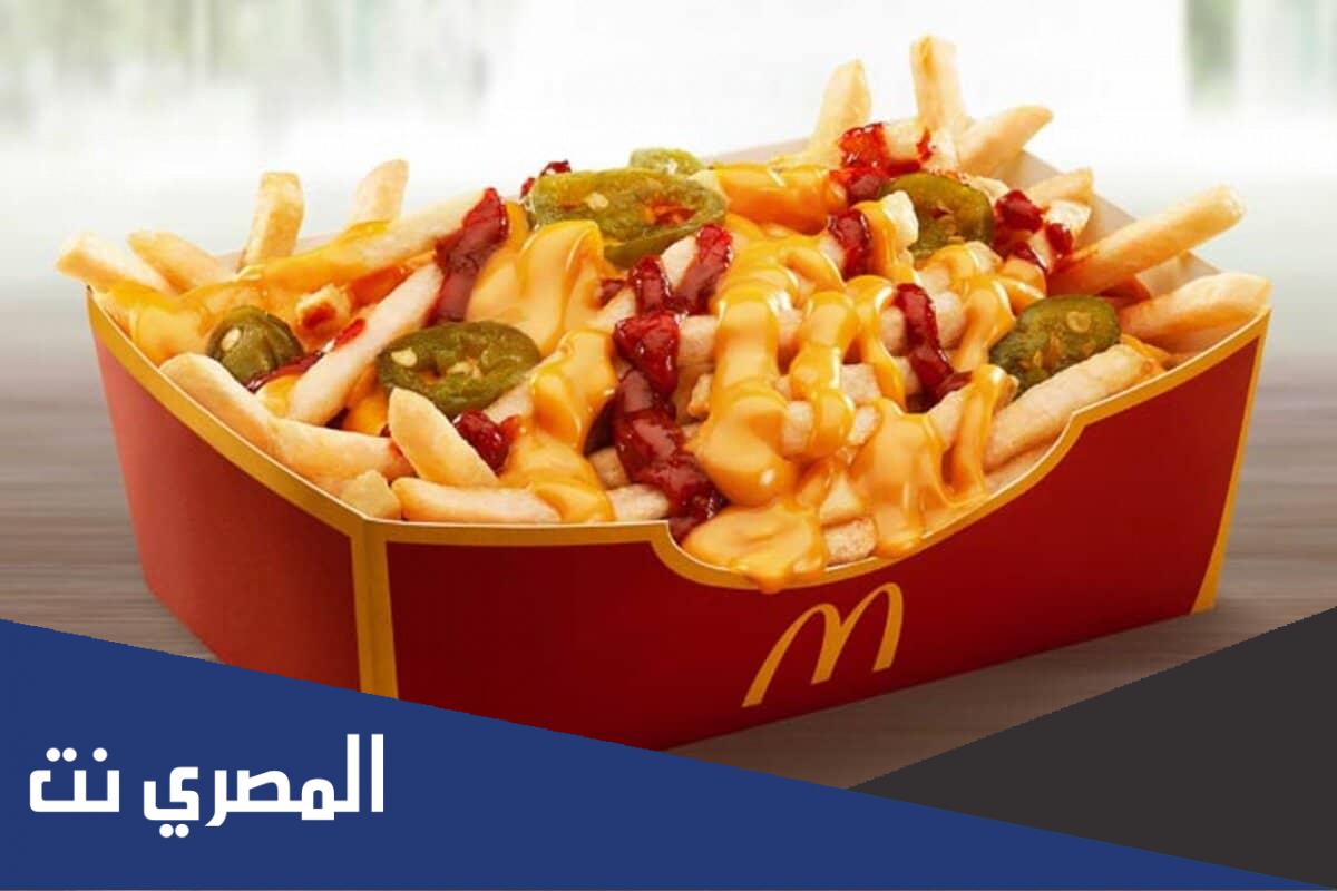 كم عدد السعرات الحرارية في البطاطس المقلية