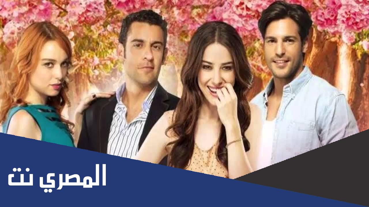 كم عدد حلقات موسم الكرز