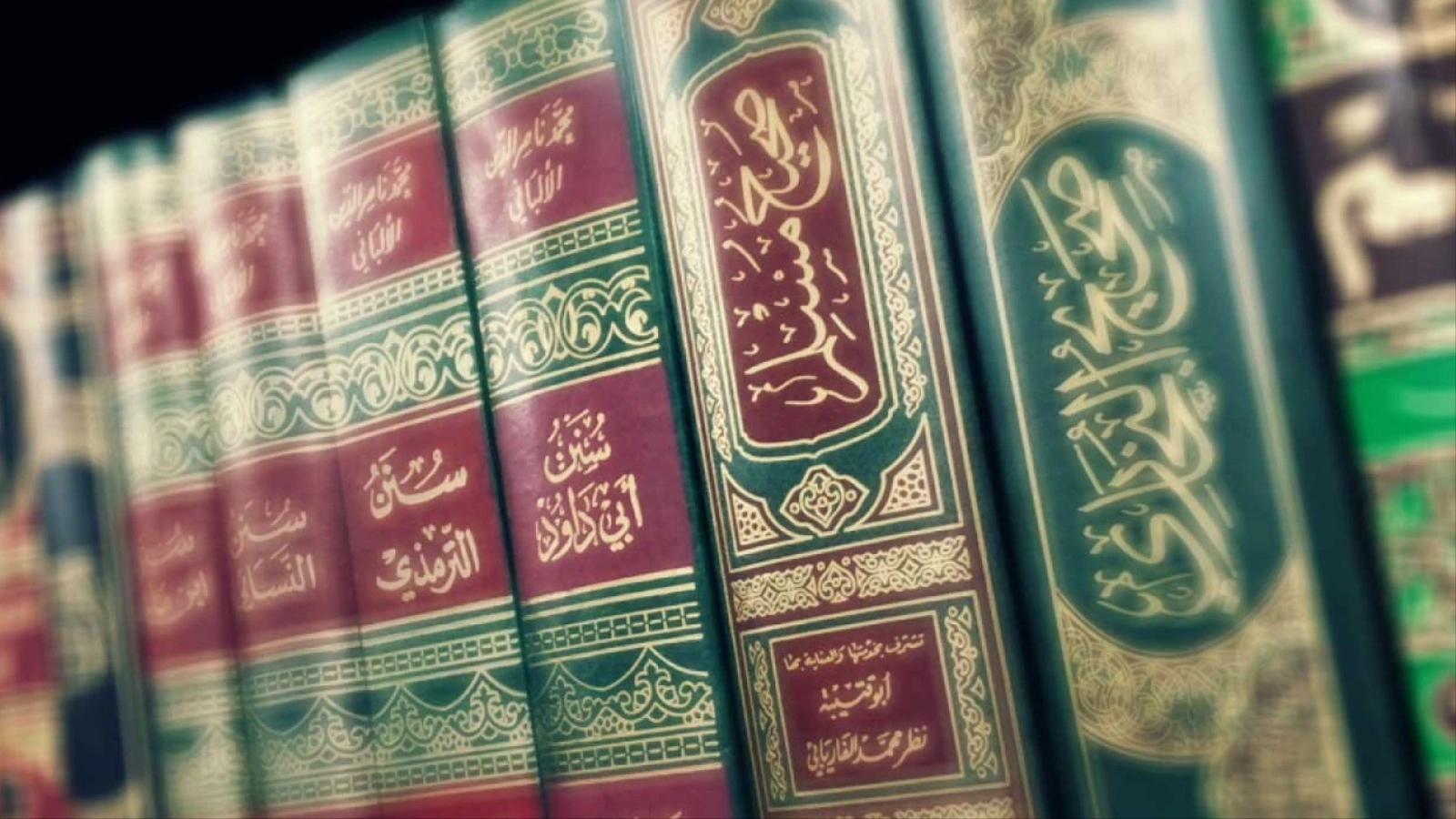 ما صحة حديث ما اهل مهل قط الا بشر