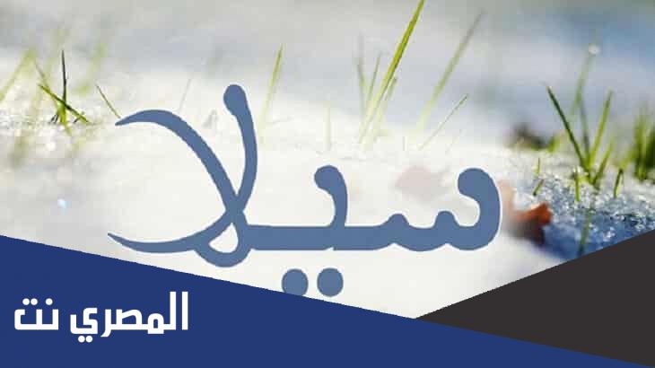 ما معنى اسم سيلا sela في القرآن أهم مواصفات صاحبة الإسم