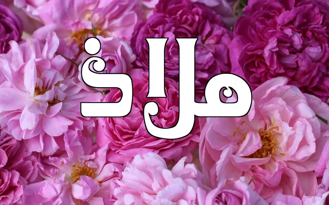 ما معنى اسم ملاذ في القران الكريم