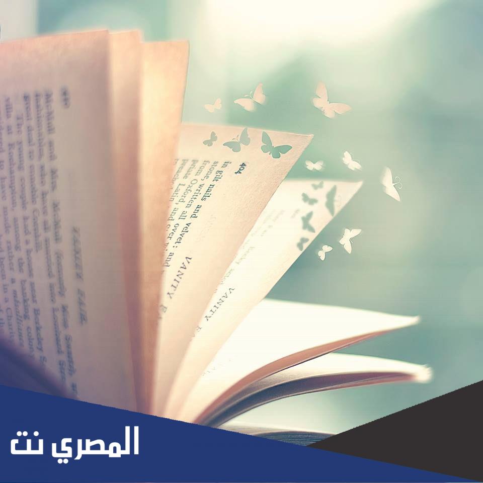ما معنى كلمة فنان في اللغة العربية