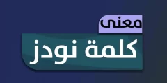 ما معنى كلمه نودز