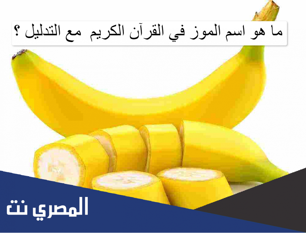 ما هو اسم الموز في القرآن الكريم  مع التدليل