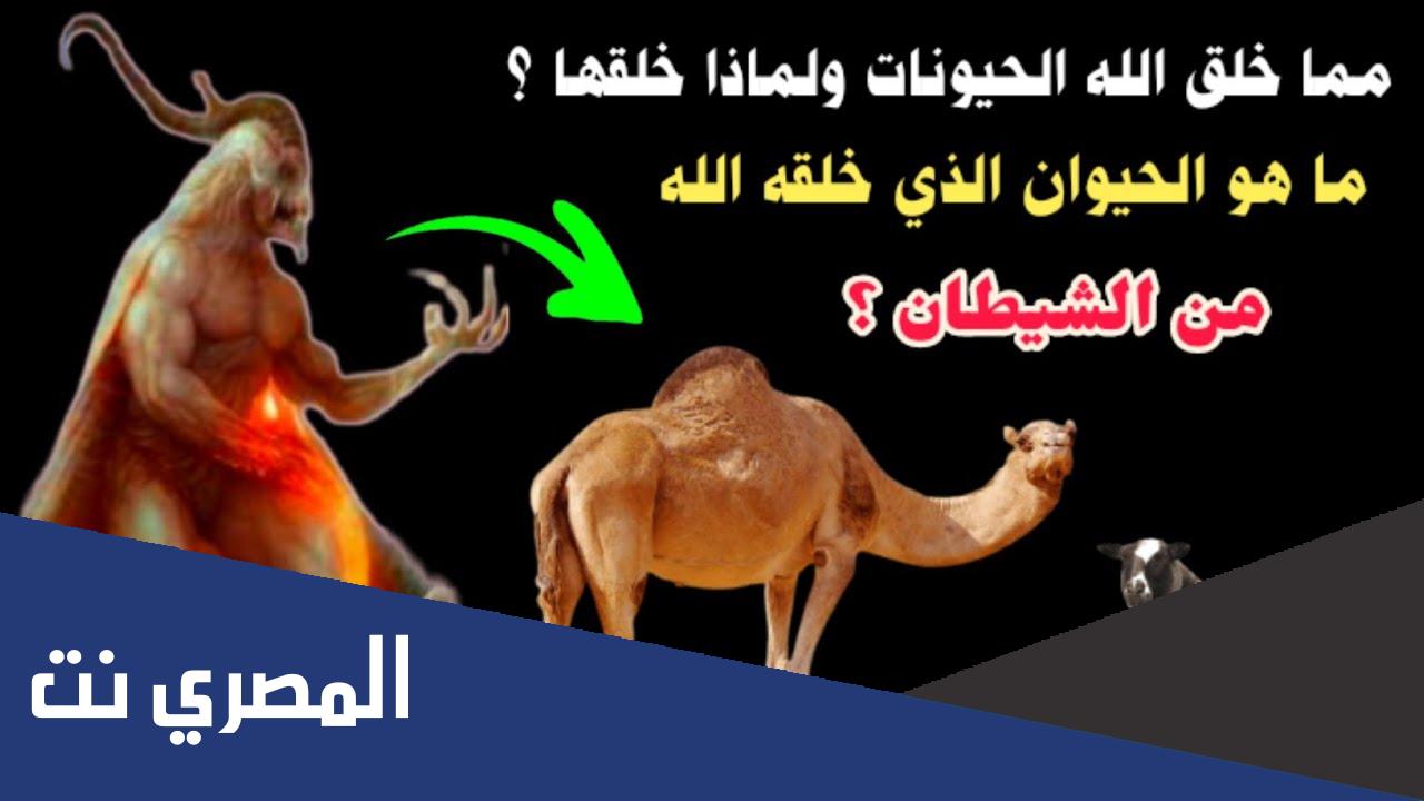 ما هو الحيوان الذي خلق من الشيطان وذكر في القران