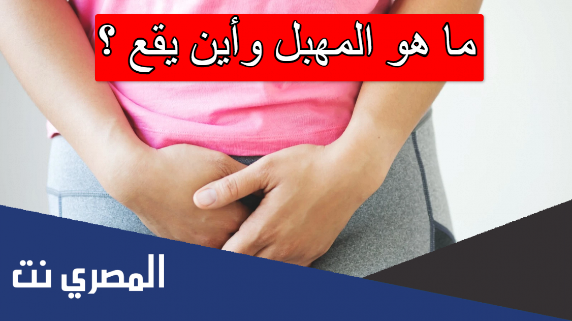 ما هو المهبل وأين يقع