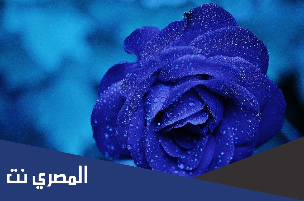 ما هو تفسير اللون الأزرق في المنام ابن سيرين