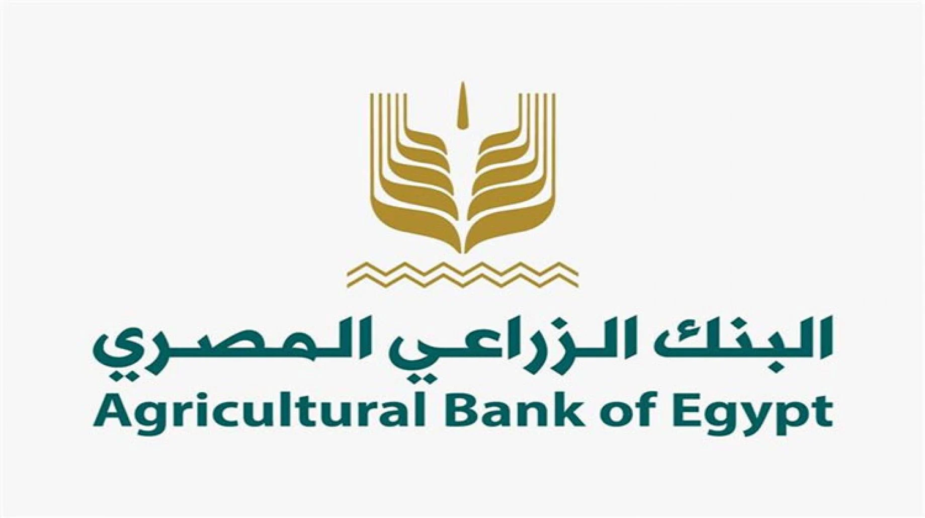ما هي ادارات البنك الزراعي المصري