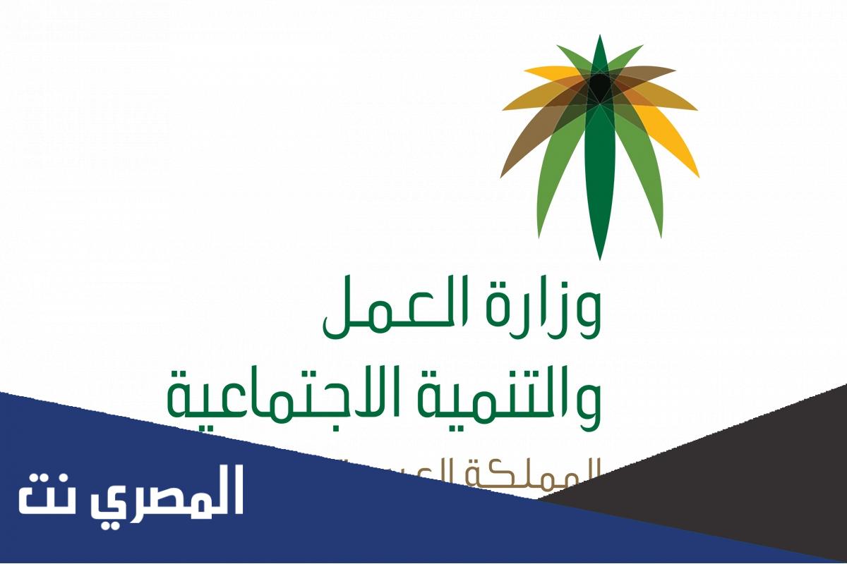ما هي المهن الغير مسعودة 2022 والمسموح للأجانب بها