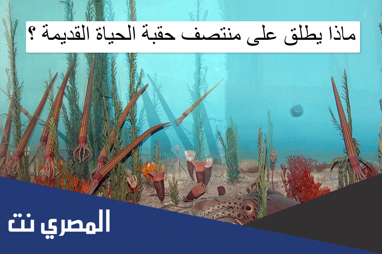 ماذا يطلق على منتصف حقبة الحياة القديمة ؟
