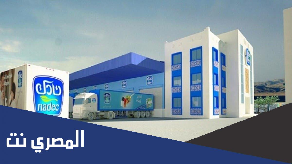 متى تأسست شركة نادك في اي عام