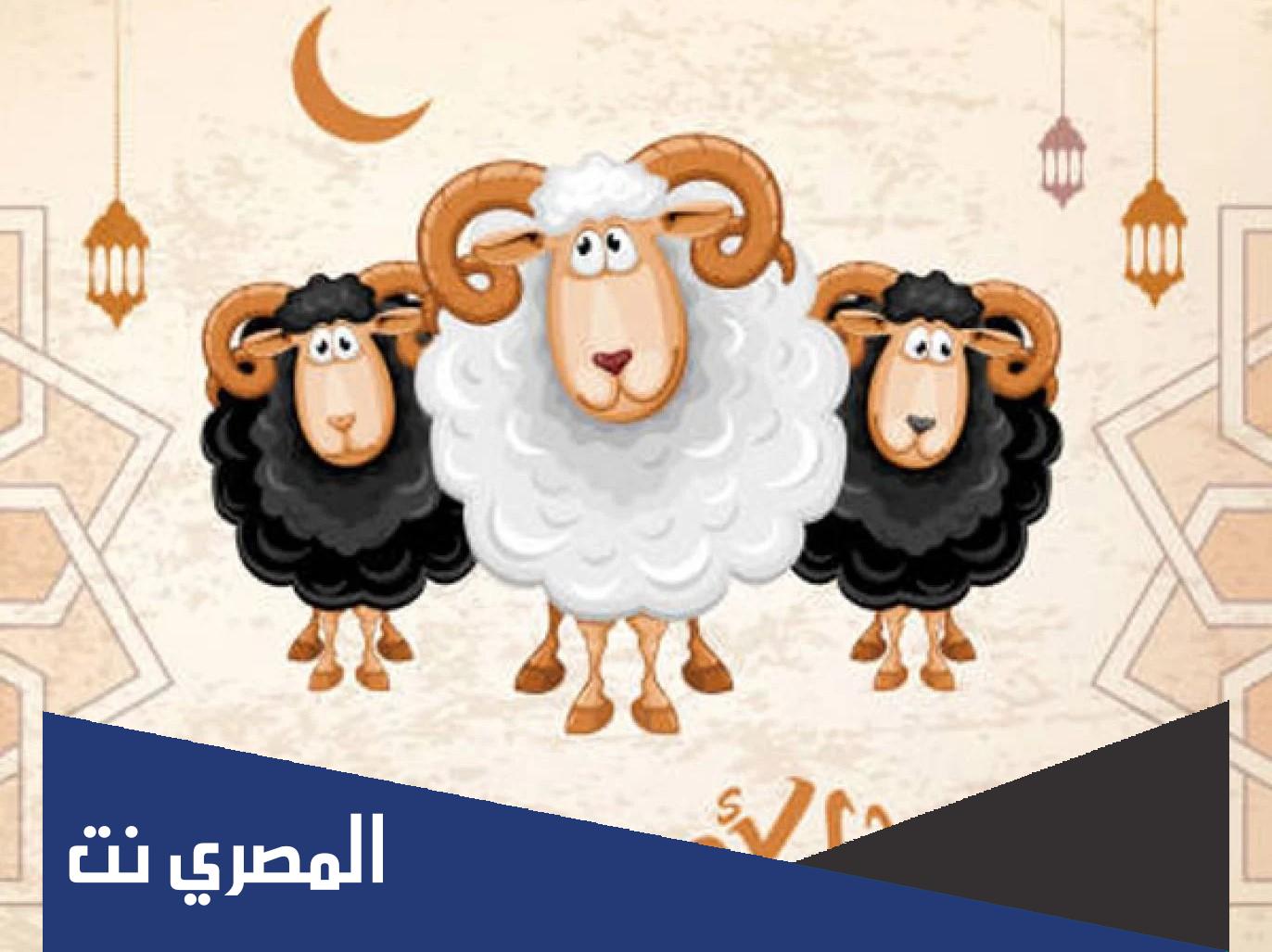 متى موعد عيد الاضحى 2022 في مصر 1443 فلكيا