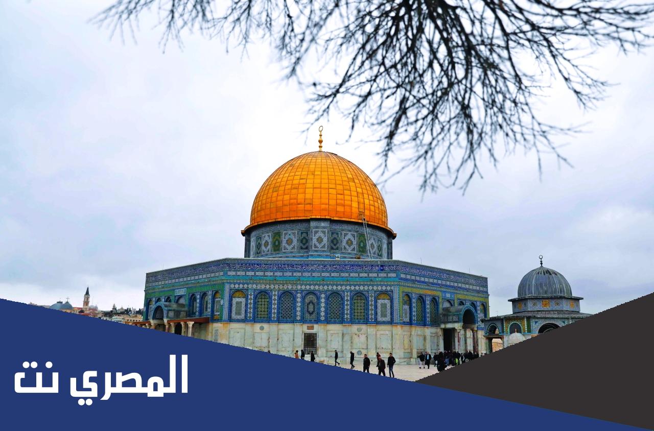 معلومات عامة عن فلسطين