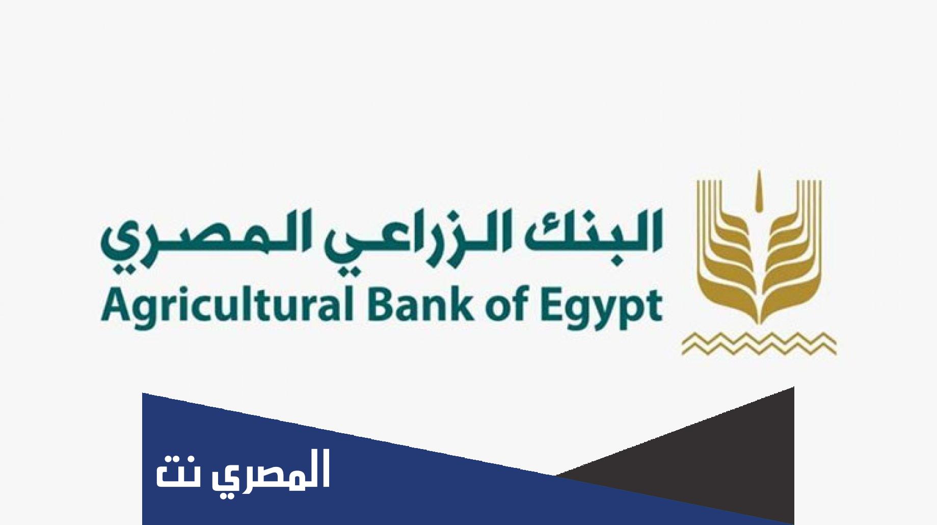 معلومات عن البنك الزراعي المصري