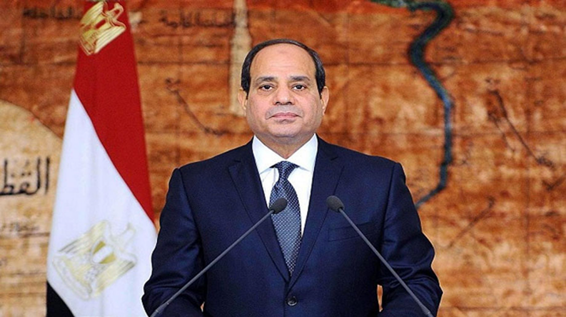 من هو نائب رئيس مجلس الدولة المصري المعزول