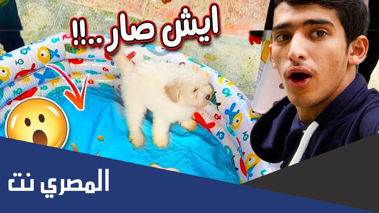 من هي كوكي اللي مع يزن الأسمر