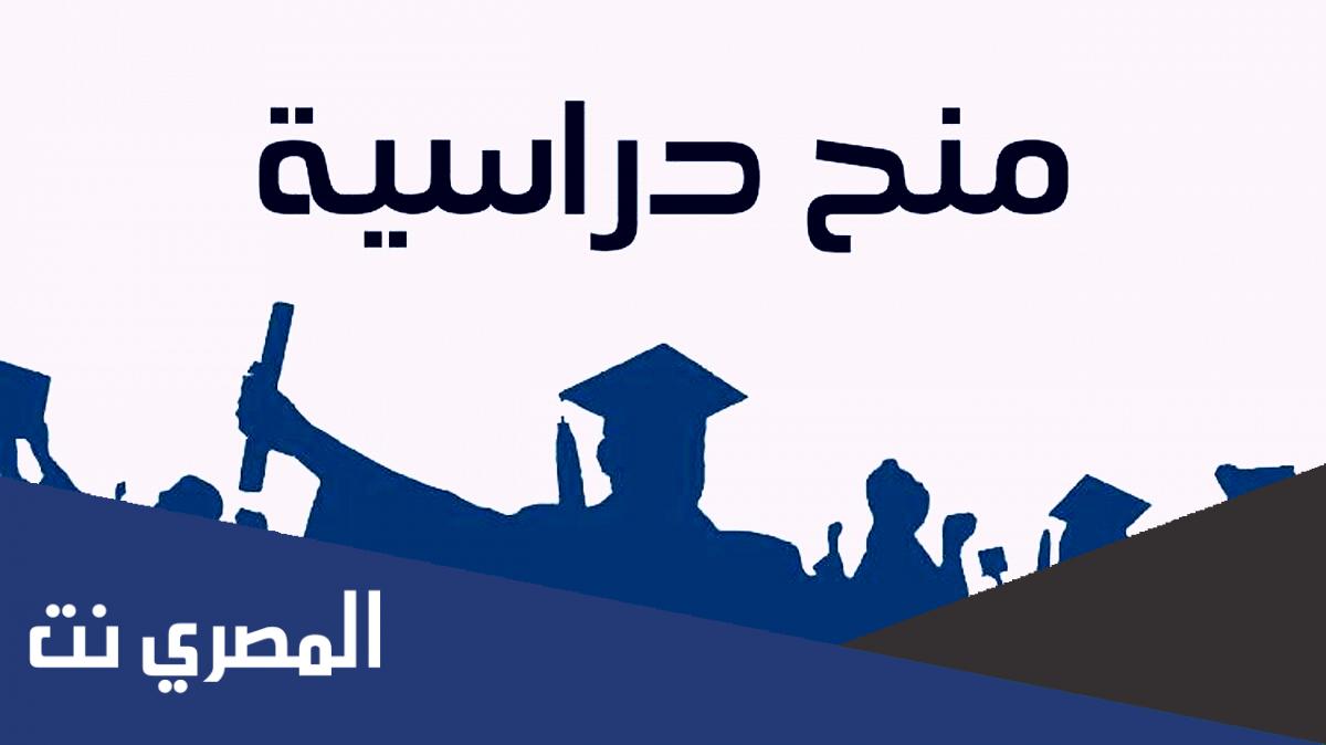 نتيجة دراسة ملف طلب المنحة بعنوان السنة الجامعية 2022